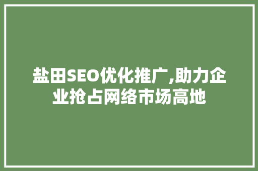 盐田SEO优化推广,助力企业抢占网络市场高地