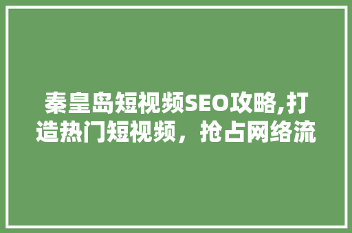 秦皇岛短视频SEO攻略,打造热门短视频，抢占网络流量高地