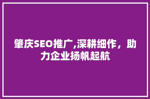 肇庆SEO推广,深耕细作，助力企业扬帆起航