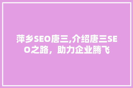 萍乡SEO唐三,介绍唐三SEO之路，助力企业腾飞