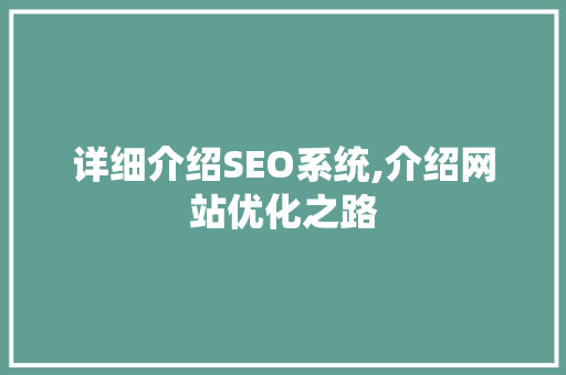 详细介绍SEO系统,介绍网站优化之路