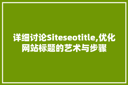 详细讨论Siteseotitle,优化网站标题的艺术与步骤