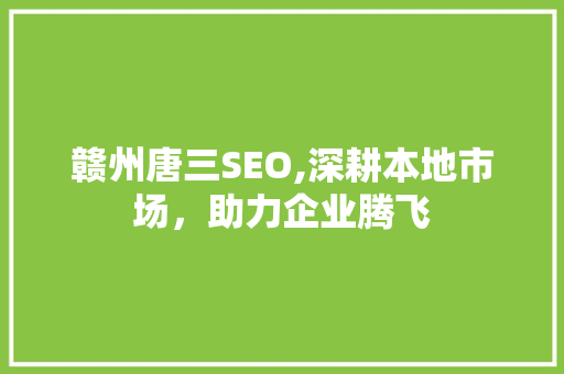 赣州唐三SEO,深耕本地市场，助力企业腾飞
