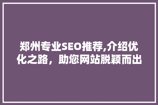 郑州专业SEO推荐,介绍优化之路，助您网站脱颖而出