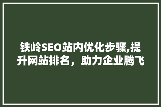 铁岭SEO站内优化步骤,提升网站排名，助力企业腾飞