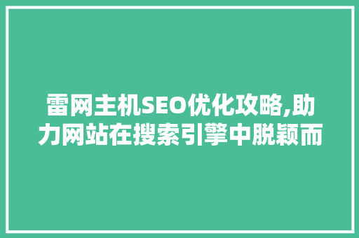 雷网主机SEO优化攻略,助力网站在搜索引擎中脱颖而出