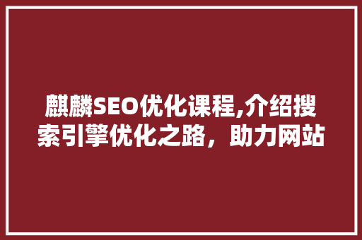 麒麟SEO优化课程,介绍搜索引擎优化之路，助力网站排名攀升