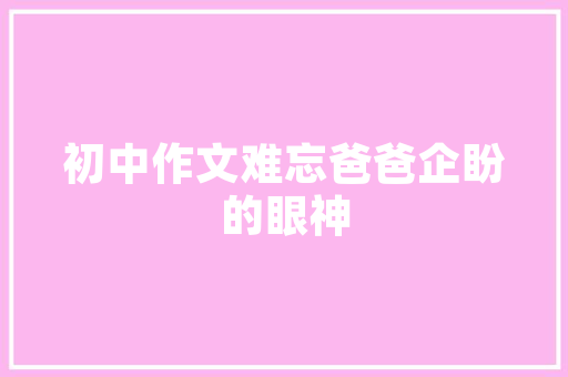 16800SEO系统,介绍高效网站优化之路