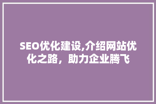 SEO优化建设,介绍网站优化之路，助力企业腾飞  第1张