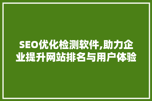 SEO优化检测软件,助力企业提升网站排名与用户体验