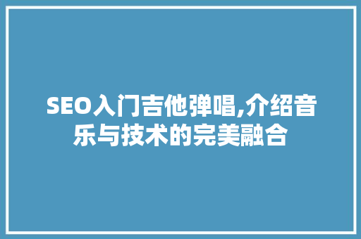 SEO入门吉他弹唱,介绍音乐与技术的完美融合
