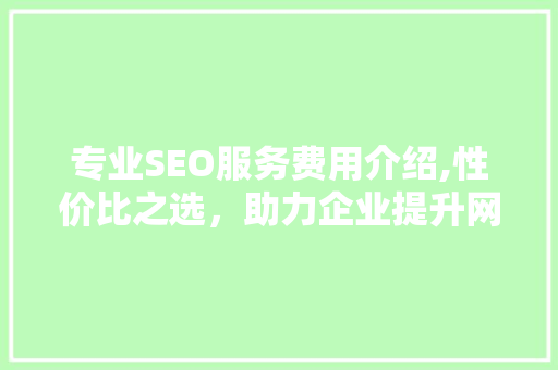 专业SEO服务费用介绍,性价比之选，助力企业提升网络竞争力