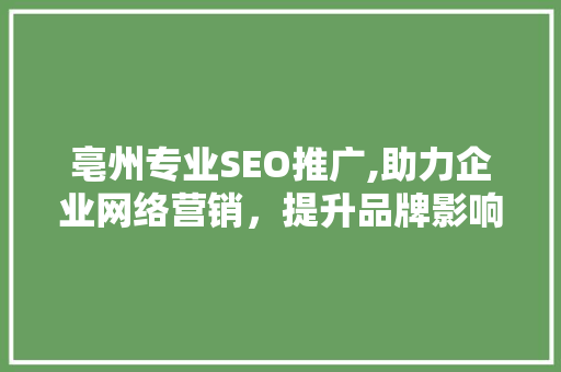 亳州专业SEO推广,助力企业网络营销，提升品牌影响力