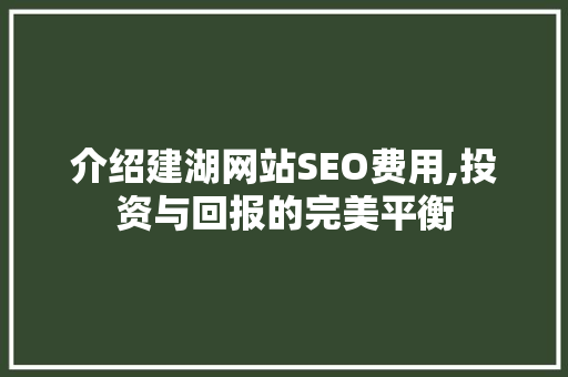 介绍建湖网站SEO费用,投资与回报的完美平衡