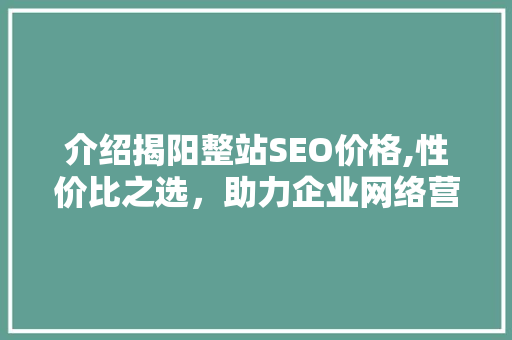 介绍揭阳整站SEO价格,性价比之选，助力企业网络营销腾飞