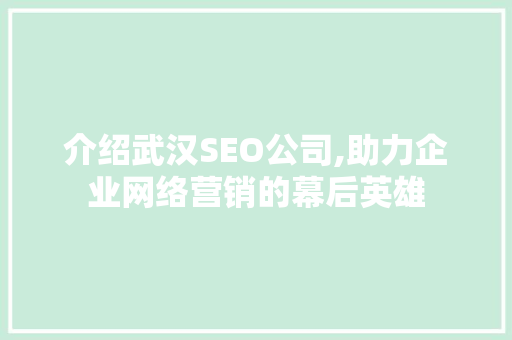 介绍武汉SEO公司,助力企业网络营销的幕后英雄
