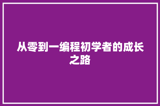 从零到一编程初学者的成长之路