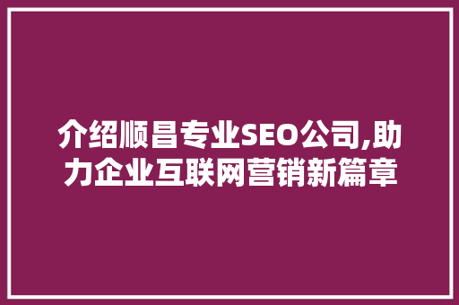 介绍顺昌专业SEO公司,助力企业互联网营销新篇章