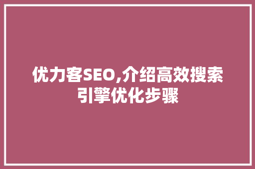 优力客SEO,介绍高效搜索引擎优化步骤