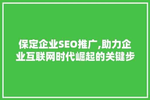 保定企业SEO推广,助力企业互联网时代崛起的关键步骤