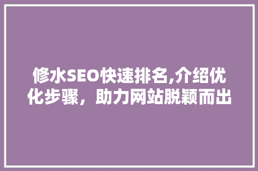 修水SEO快速排名,介绍优化步骤，助力网站脱颖而出