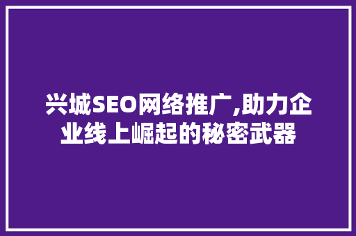 兴城SEO网络推广,助力企业线上崛起的秘密武器  第1张