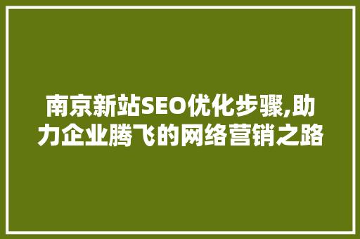 南京新站SEO优化步骤,助力企业腾飞的网络营销之路