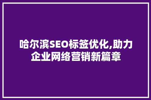 哈尔滨SEO标签优化,助力企业网络营销新篇章