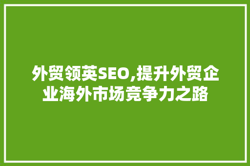 外贸领英SEO,提升外贸企业海外市场竞争力之路