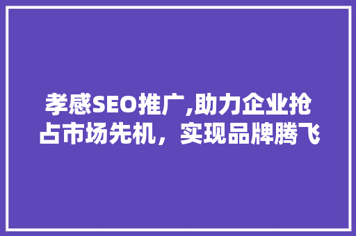 孝感SEO推广,助力企业抢占市场先机，实现品牌腾飞