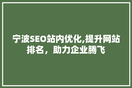 宁波SEO站内优化,提升网站排名，助力企业腾飞