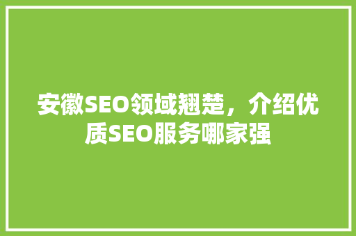 安徽SEO领域翘楚，介绍优质SEO服务哪家强