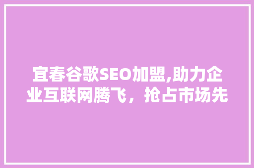 宜春谷歌SEO加盟,助力企业互联网腾飞，抢占市场先机