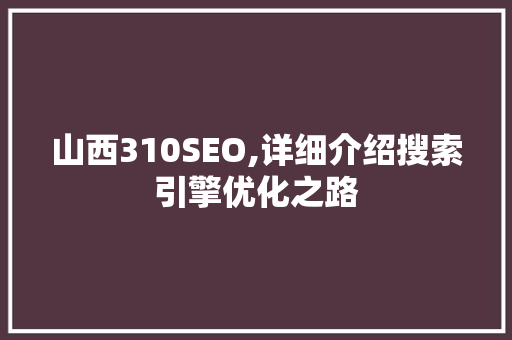 山西310SEO,详细介绍搜索引擎优化之路