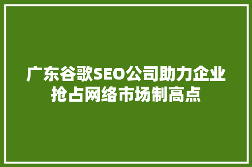 广东谷歌SEO公司助力企业抢占网络市场制高点