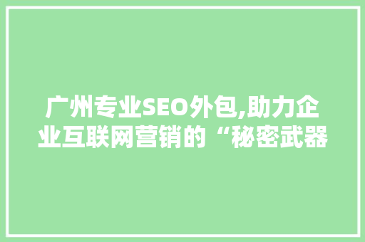 广州专业SEO外包,助力企业互联网营销的“秘密武器”