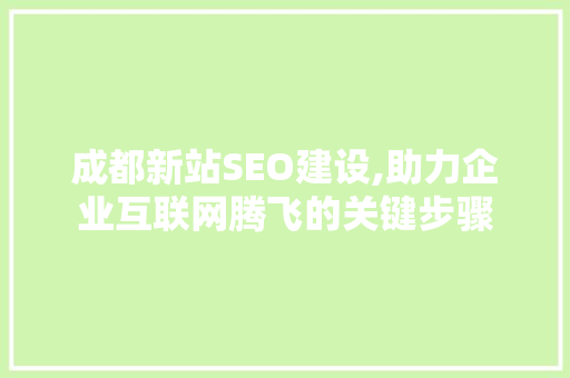 成都新站SEO建设,助力企业互联网腾飞的关键步骤