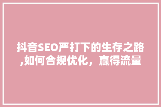 抖音SEO严打下的生存之路,如何合规优化，赢得流量红利