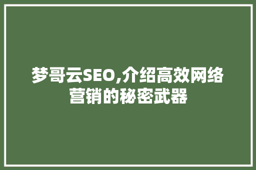 梦哥云SEO,介绍高效网络营销的秘密武器