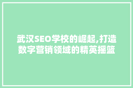 武汉SEO学校的崛起,打造数字营销领域的精英摇篮