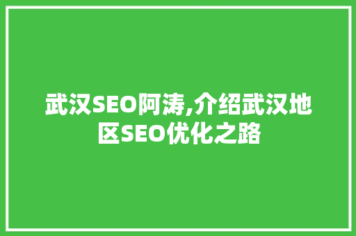 武汉SEO阿涛,介绍武汉地区SEO优化之路