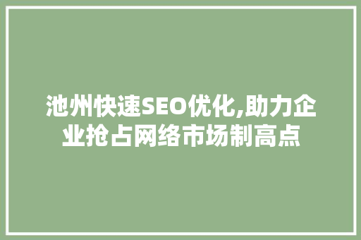 池州快速SEO优化,助力企业抢占网络市场制高点