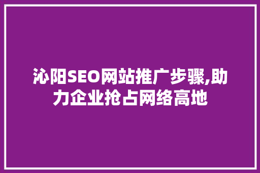 沁阳SEO网站推广步骤,助力企业抢占网络高地