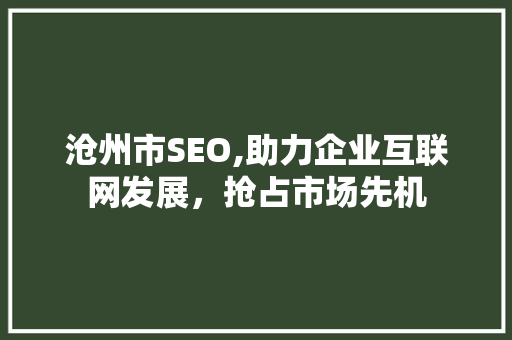 沧州市SEO,助力企业互联网发展，抢占市场先机