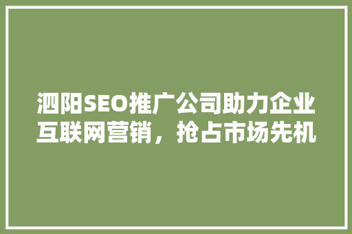 泗阳SEO推广公司助力企业互联网营销，抢占市场先机