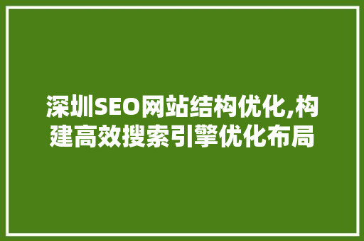 深圳SEO网站结构优化,构建高效搜索引擎优化布局