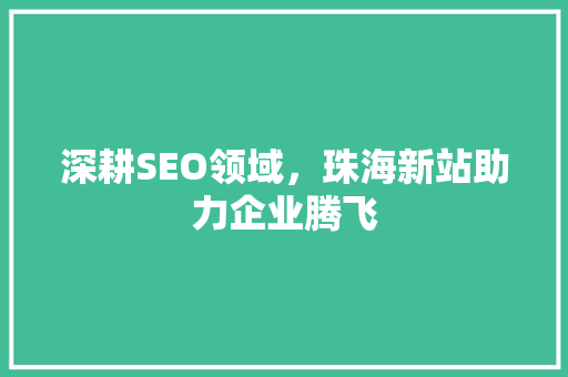 深耕SEO领域，珠海新站助力企业腾飞