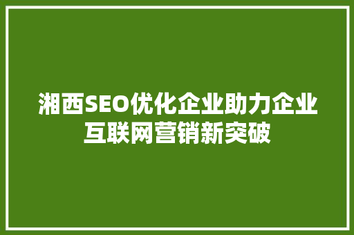 湘西SEO优化企业助力企业互联网营销新突破