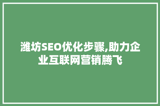 潍坊SEO优化步骤,助力企业互联网营销腾飞