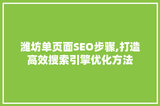 潍坊单页面SEO步骤,打造高效搜索引擎优化方法